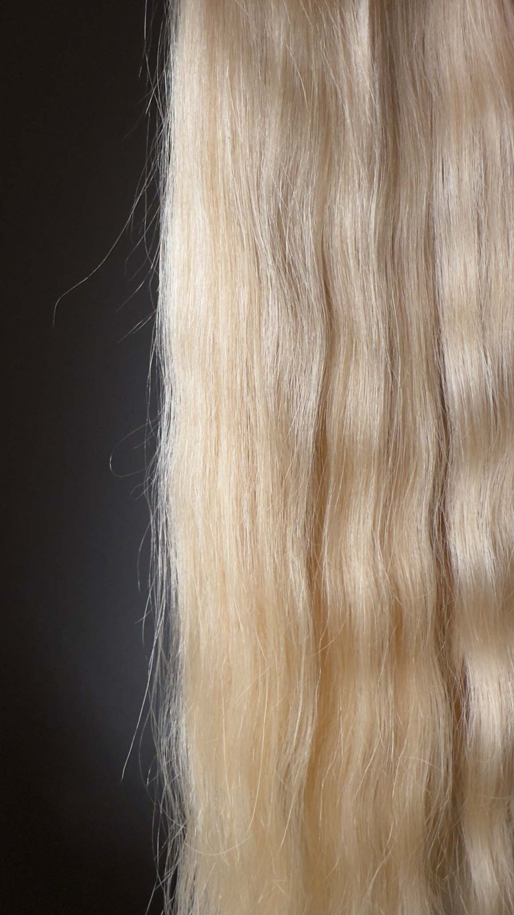 Slavic Hair | 59 cm | 73 g | 100% human hair  (#0255)
